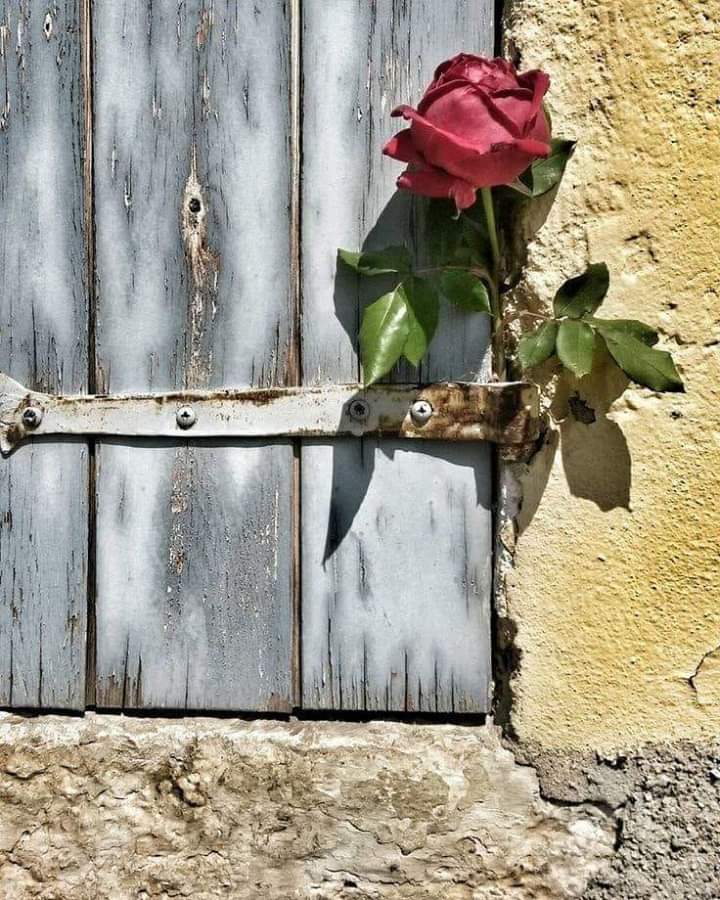 #Salı 

Yarım kalmış Hikâye yoktur. .
O kadardır O. 

Ve 

Mart biter. .