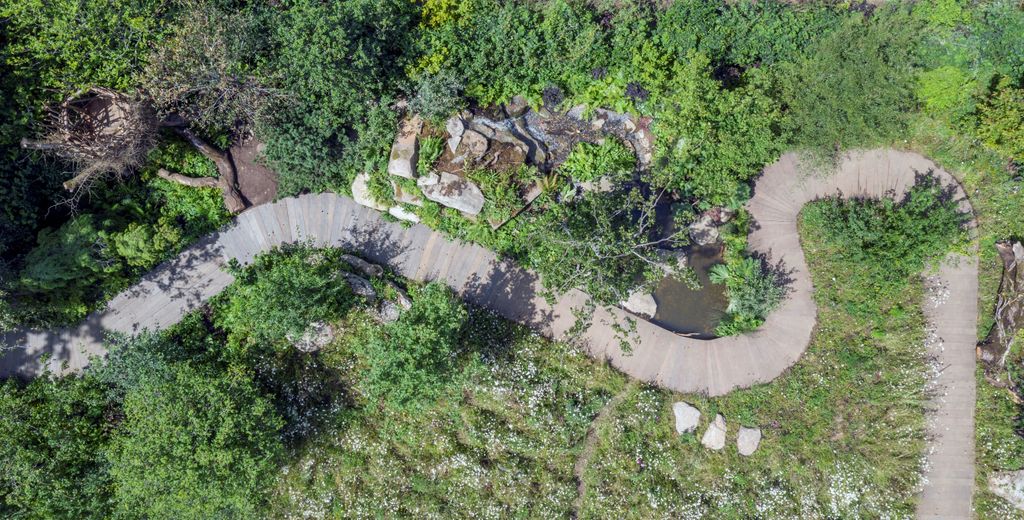 We cannot build the <a href="/Facebook/">Facebook</a> garden for <a href="/joelandscapes/">Joe Jeffery</a> at this years <a href="/The_RHS/">The RHS</a> Chelsea Flower Show. Instead we will upload photos from last years Back to Nature garden designed by <a href="/davies_white/">Adam White PPLI & Andrée Davies</a> and <a href="/Kensingtonroyal/">The Prince and Princess of Wales</a> #RHS  #Backtonature #thenaturefix #RHSHamptoncourtflowershow