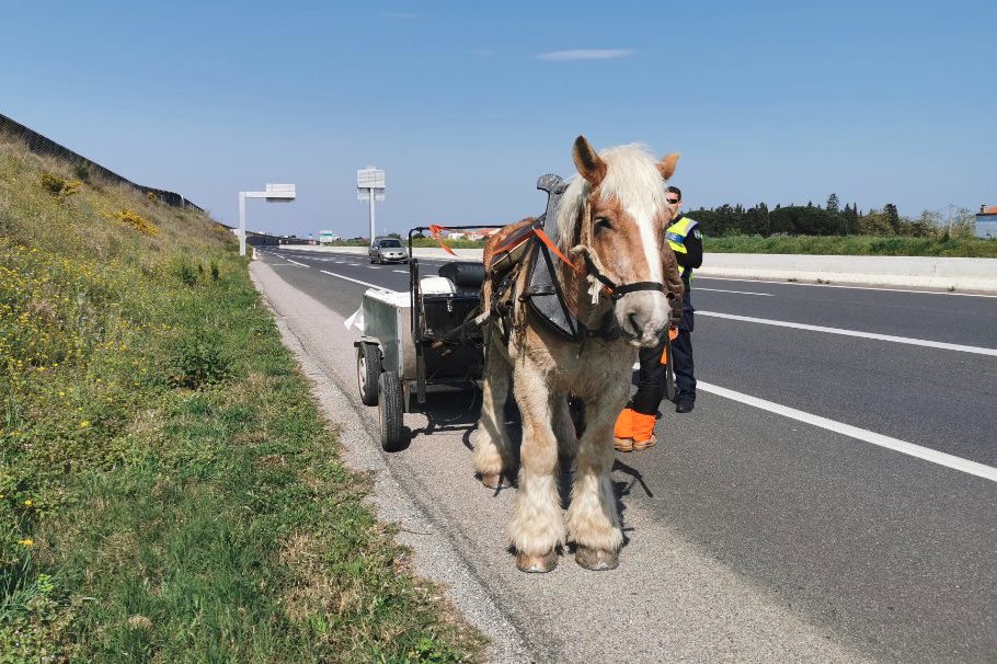Gendarmerie's tweet photo. #Covid_19 Il n'est pas non plus autorisé de prendre sa calèche 🐎 pour se promener sans motif légitime !!
❌De tels agissements monopolisent inutilement les forces de l'ordre.

#RestezChezVous

https://t.co/u5aKe4bPvd https://t.co/crzsCq1ucH