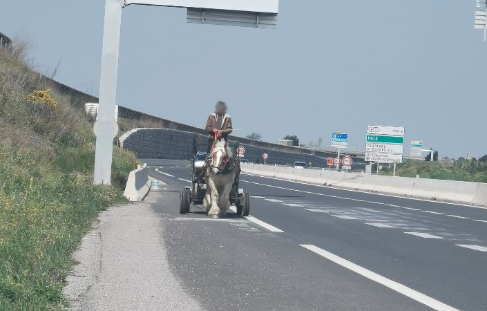 Gendarmerie's tweet photo. #Covid_19 Il n'est pas non plus autorisé de prendre sa calèche 🐎 pour se promener sans motif légitime !!
❌De tels agissements monopolisent inutilement les forces de l'ordre.

#RestezChezVous

https://t.co/u5aKe4bPvd https://t.co/crzsCq1ucH