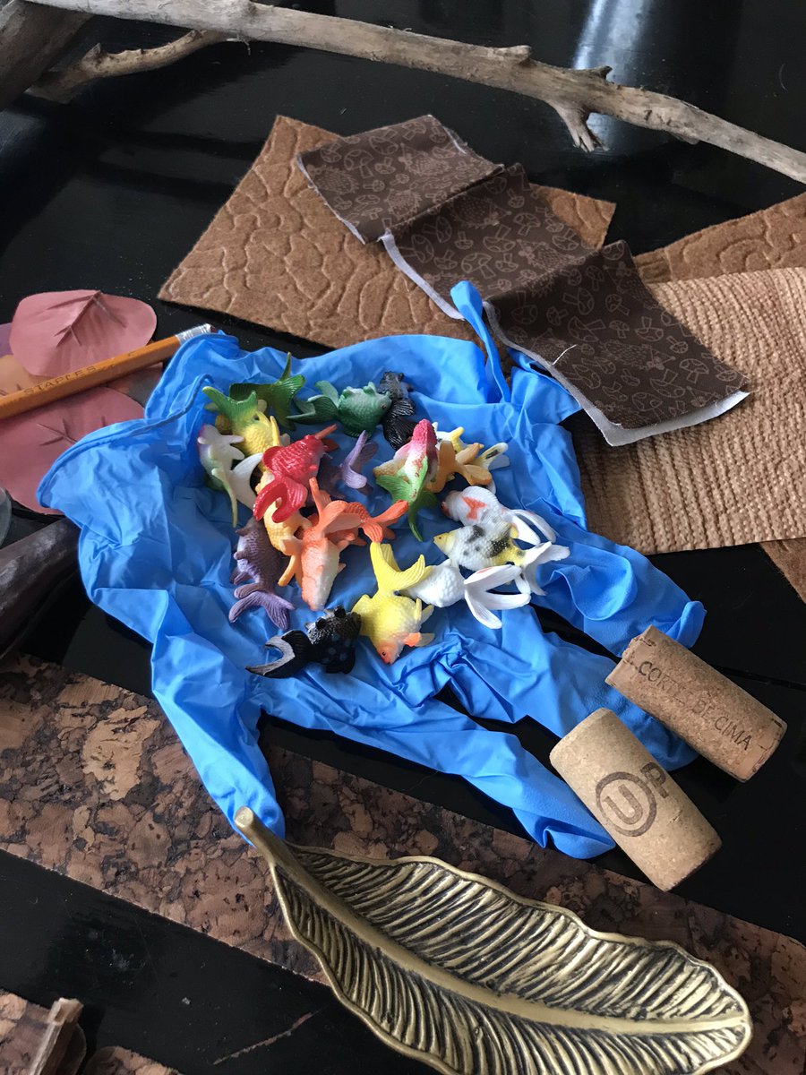 More story making. A picnic and the pond across from our house! Grab your fishing rods! It looks like the pond is full of fish! @AngelaStockman #makewriting
