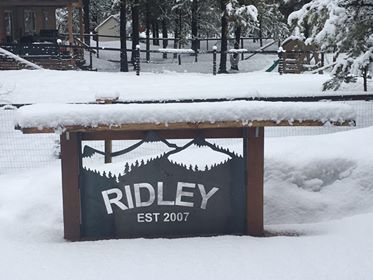 BriEggers's tweet photo. Kevin Ridley reports 6" of fresh snow overnight in Donnelly. It's a winter wonderland!! Great news for Idaho snowpack. #IDwx #ktvb #7spring https://t.co/QlLaWErG1K