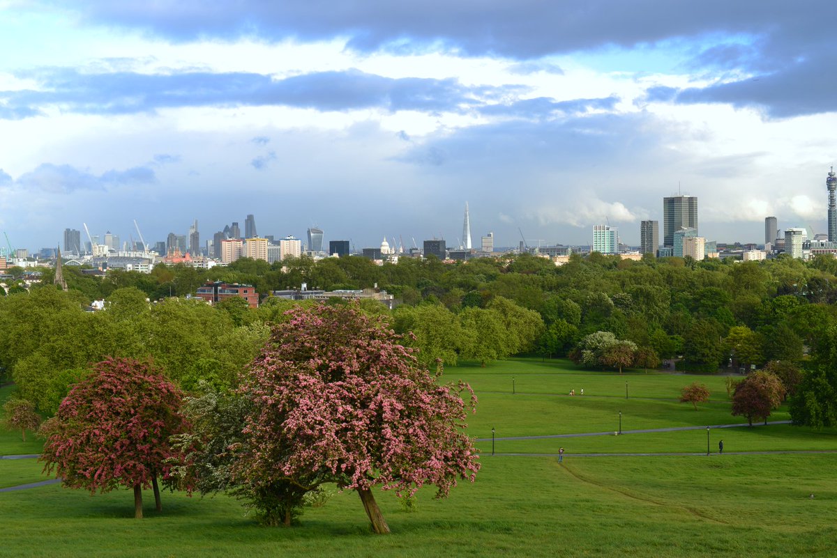 We are getting the monthly Primrose Hill Community Newsletter ready. If you would like to receive it please sign up here... #PrimroseHill #LocalCommunity phca.cc/join/