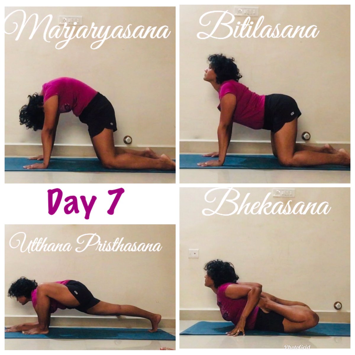 nityawrites30's tweet photo. #21daysofyoga A set of asanas each day have helped to focus on the positive and help others to remain positive while India is still in a 21 day #lockdown in a fight against #COVID19 #yogaformindandbody #yogaandwelness #yogaeveryday #PositiveVibe #StayHomeStaySafe @narendramodi 🙏🏽 https://t.co/65CEc33Fb3