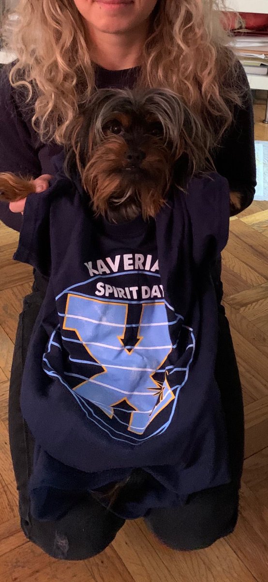 ludovic33426400's tweet photo. Doggy clipper Pride💙⚓️
#itisXaverian🐶 #italiandog🐶🇮🇹💙⚓️ #wearemissingXaverian https://t.co/Bq9Lto5CS2