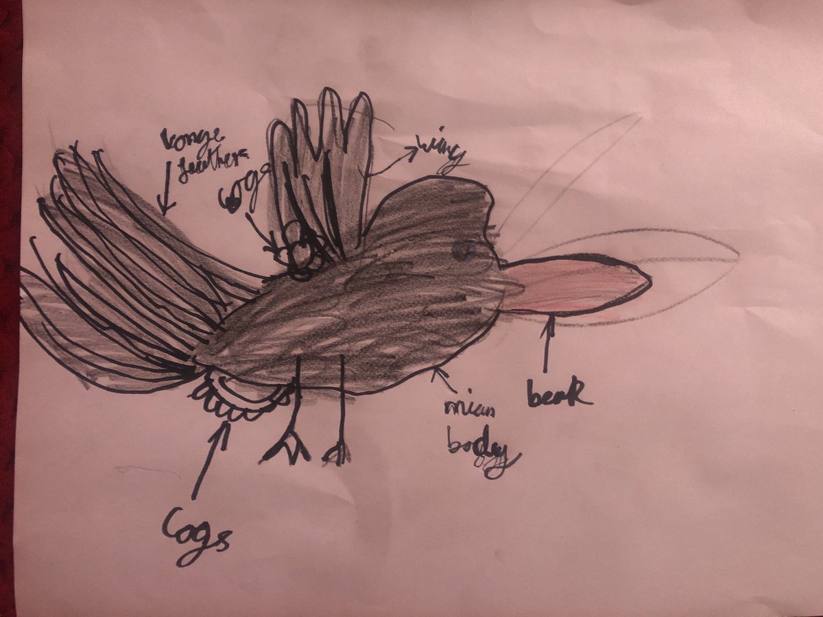 WATReach's tweet photo. Super #proud of @knockhallprima1 Year 4 Reading Gladiators @imaginecentre who have continued their learning online - they have thoroughly enjoyed reading #ClockworkCrow @FisherAuthor
Take a look at some of the children's photos that have been uploaded to Google Classroom 👀🤩👏 https://t.co/Mn1Yqp6yC9