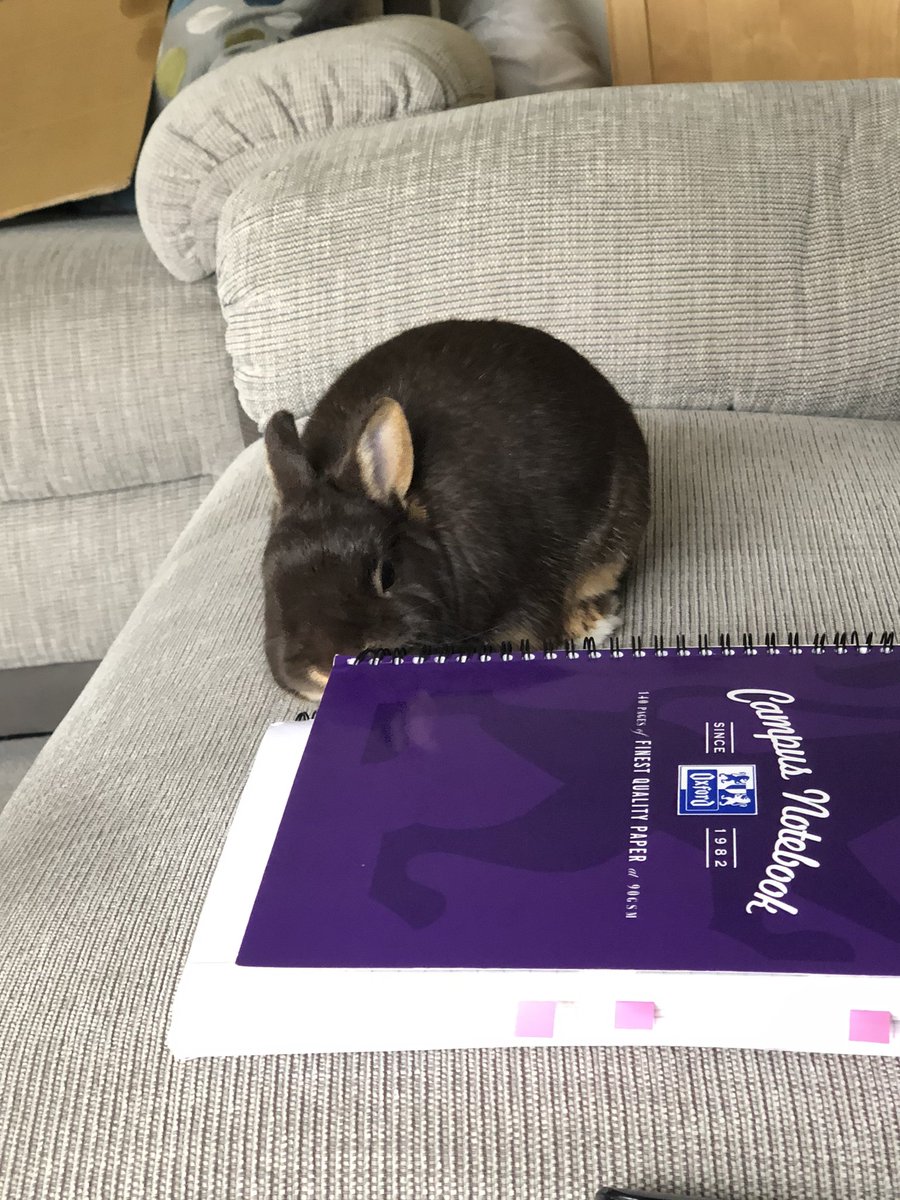 I have had help with getting to ‘rips’ with Mina research today