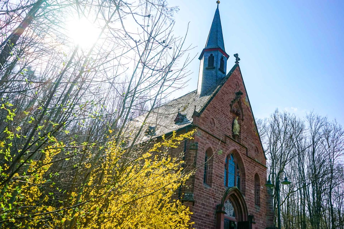 BahnhofGamburg's tweet photo. Bäume aus Glas geben den Blick frei auf die #Liebfrauenbrunn Kapelle #Werbach
https://t.co/DaHzmBZ79B
#taubertal #lieblichestaubertal #maintauberkreis #frühling #gamburg #werbach #külsheim #uissigheim #bahnhofgamburg #ferienwohnung #osterferien #urlaubmithund #naturfotografie https://t.co/4yBX9lzSbv