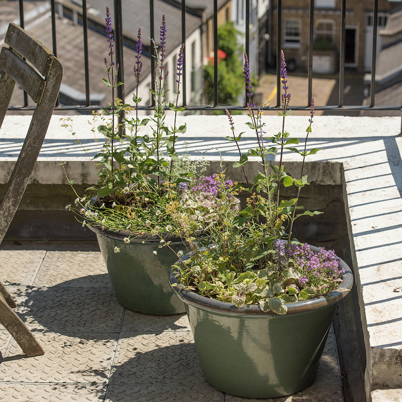 We have some great Ideas for populating small spaces in your garden. Take a look at our variety of terracotta pots, pot towers, wall planters and much more! Find out more: ow.ly/U5Gw50z0JjC