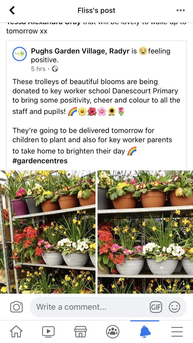 flissy_d's tweet image. What a lovely idea from @pughsgarden wonder if @BandQ culverhouse cross would offer the same thing for the #hubschool at @HywelDdaPS ??? #keyworkers #keepingthechildrensafe