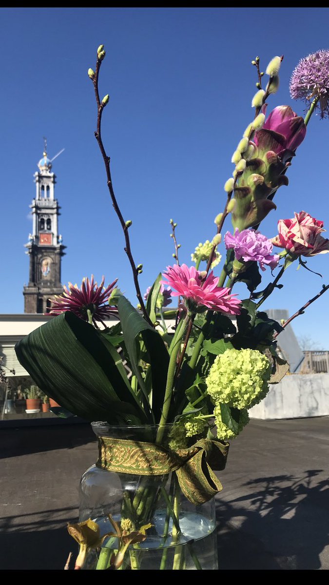 RT NOAAmsterdam: NOA heeft + advies van ‘t NVAO-panel. Dank aan alle btrkknn!⁦sovopamsterdam⁩ ⁦VUamsterdam⁩ MetisMontessori⁩ ijburgcollegeVO LumionAmsterdam HetCalandlyceum ⁦Inholland⁩  ⁦UvA_Amsterdam⁩ ⁦HvA_FOO⁩ ⁦HU_Utrecht⁩ ⁦BreitnerAHK⁩