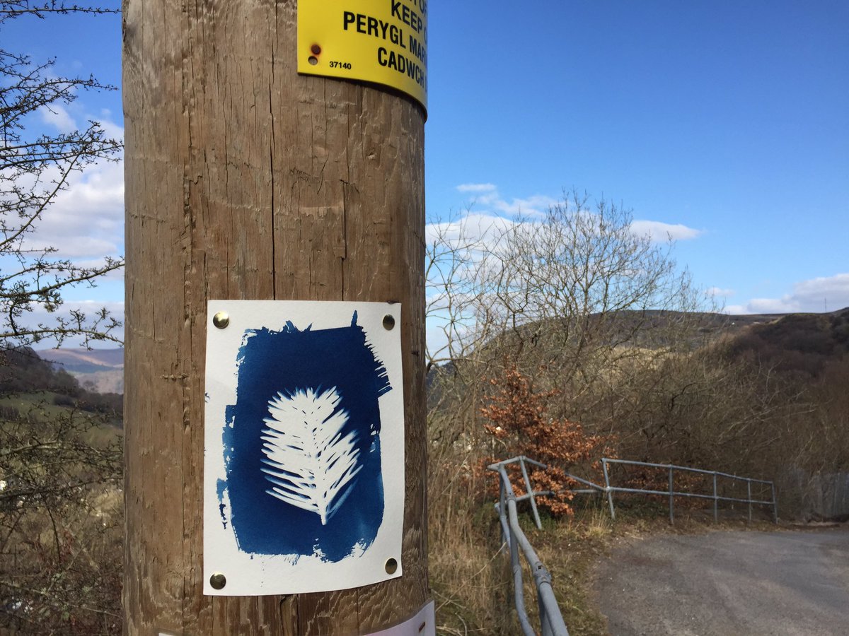 TobyVPhoto's tweet photo. Today, whilst on our daily exercise routine, I started putting up a guerrilla art display. #cyanotype #GuerillaArtGallery https://t.co/jQsPWdzkdF