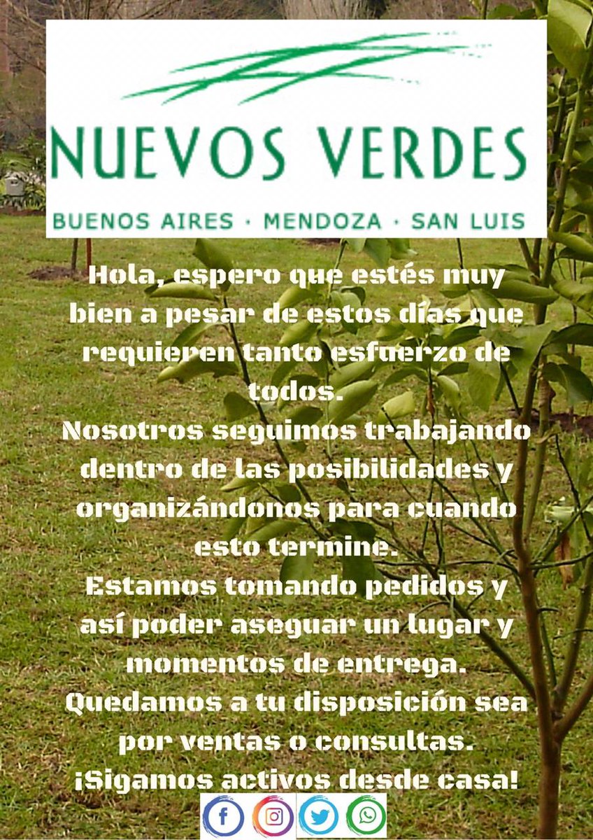 Nuevos Verdes Césped (@nuevosverdes) on Twitter photo 