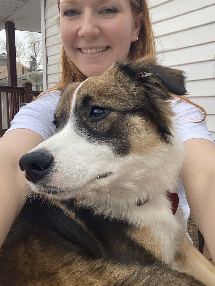 🐾MEET OUR STAFF!

Our Regional Education Assistant PETUNIA and Chief Academic Support Coordinator KHALESSI are doing a PAWSOME job this morning! 🐶🐱