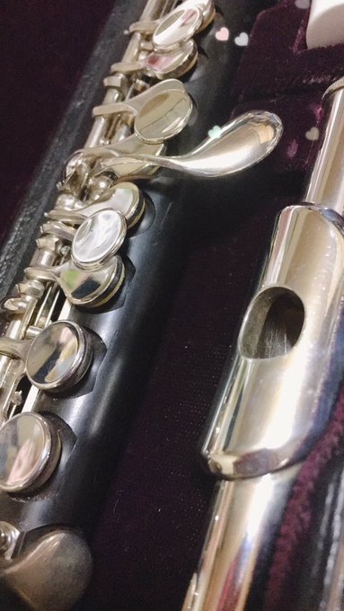 吹奏楽部さんと繋がりたいのtwitterイラスト検索結果