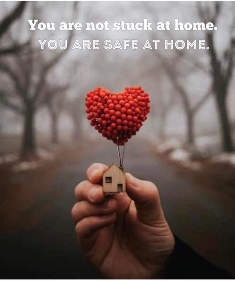 #cityofframingham #framinghampubliclibrary #safeathome