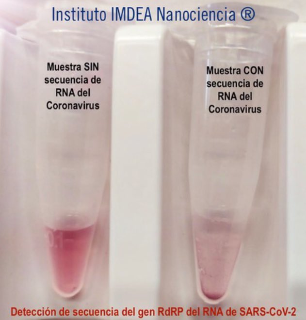 imdeanano's tweet photo. IMDEA Nanociencia está desarrollando un test de Covid-19 que funciona mediante un cambio de color de una disolución de AuNPs al detectar una secuencia de RNA del SARS-Cov-2 . #Ciencia e #innovacion contra #COVID19 desde la @ComunidadMadrid #VenceAlVirus #HackathonMadrid. https://t.co/QhUNYIwnJK