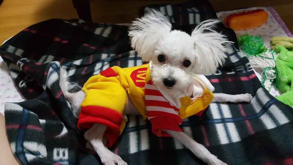 얼굴은 명화                               인생은 영화                           성격은 동화                               존재는 신화