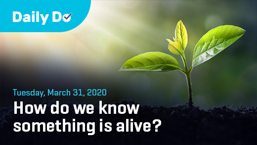 Today’s #NSTA #DailyDo, How do we know if something is alive?, utilizes children’s books and family reading time to create a space for students to share and build on their ideas (and each other's) about things that are alive and things that are not. smore.com/rkdj6