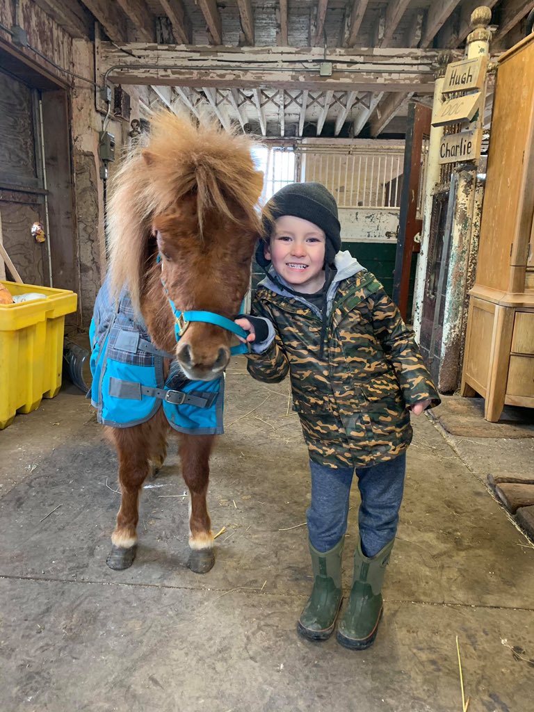 LauraSliter's tweet photo. Quarantine isn’t so boring when you have 4-legged friends you need to take care of! https://t.co/4zp6q20tWJ