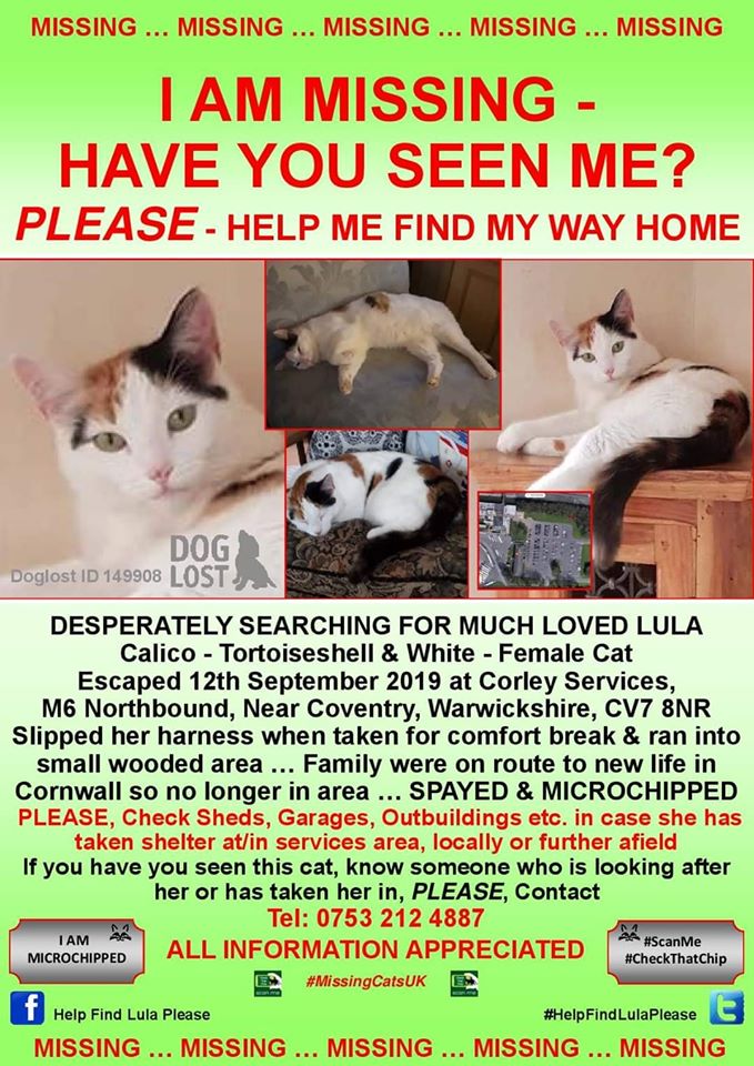 MoggiesR's tweet photo. 🔴#FindLula still missing🔴12/09/2019 #FindLula escaped her harness #M6 #Corley #Services nr #Coventry #CV7 #8NR She was enroute to a new life with her family in #Cornwall.
#keepeyespeeled @WelcomeBreakPpl
@KFC_UKI_Help @janice_adams3 @joannew0112 @HelpFindSaffron https://t.co/x96moupzoj