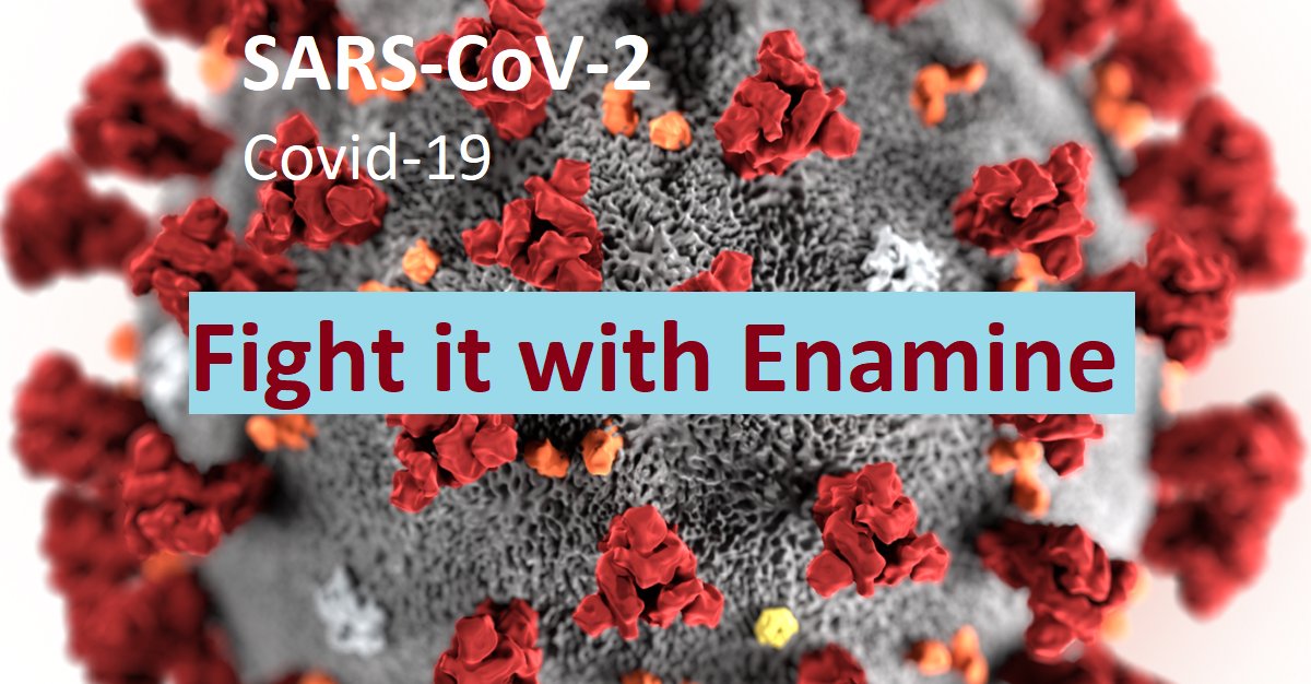 EnamineLtd's tweet photo. LET’S FIGHT COVID-19 TOGETHER
An international group of scientists from academia and industry, including #Enamine, is trying to help combat #COVID19.
More here https://t.co/gFy1lnF3Gv
Please, contact us at libraries@enamine.net if you need our help.
#PostEra #news #drudiscovery https://t.co/fQQwmyAvqN