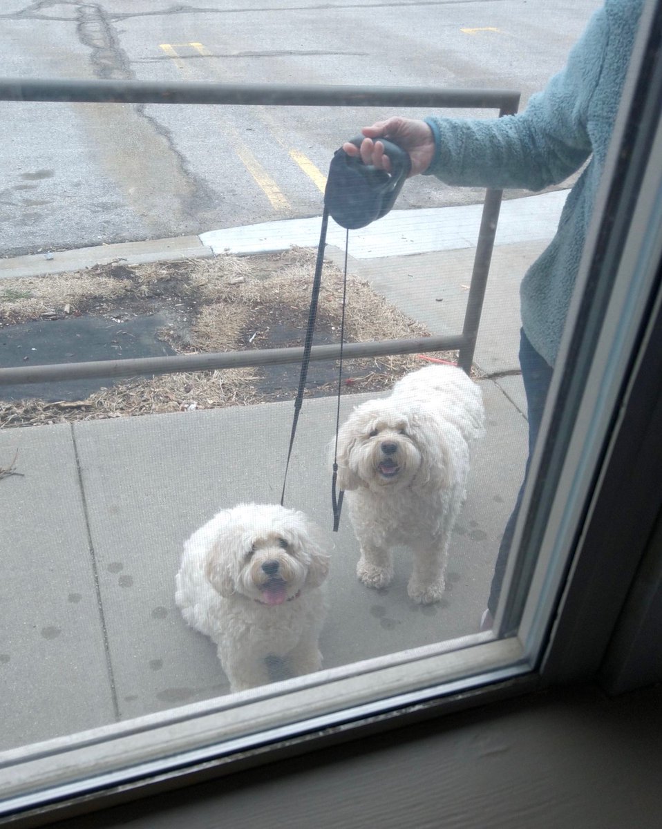 AzriaHealth's tweet photo. Some family members visited their loved ones through the window at #AzriaHealthMontclair! One family member even brought a couple of furry friends to say hi!
#AzriaHealth #FurryFriends #Family #Friends #FurryFriend #Dog #Puppy #LovedOnes #FamilyVisiting #Visiting #BichonFrise https://t.co/vLpgEC3wta