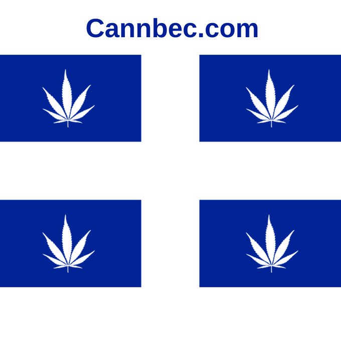 MtlMatch's tweet photo. Le nom de domaine **https://t.co/UGHcy4K04o** est à vendre.  Si intéressez, contactez-moi par courriel: contact@heavyweightdomains.com.     #Montreal #MTL #Quebec #PQ #cannabis #marijuana #pot #comestibles #vape #vapes #vaporisateurs #vapoteurs #plantes  #joints #serres https://t.co/WmmaY54ZLf
