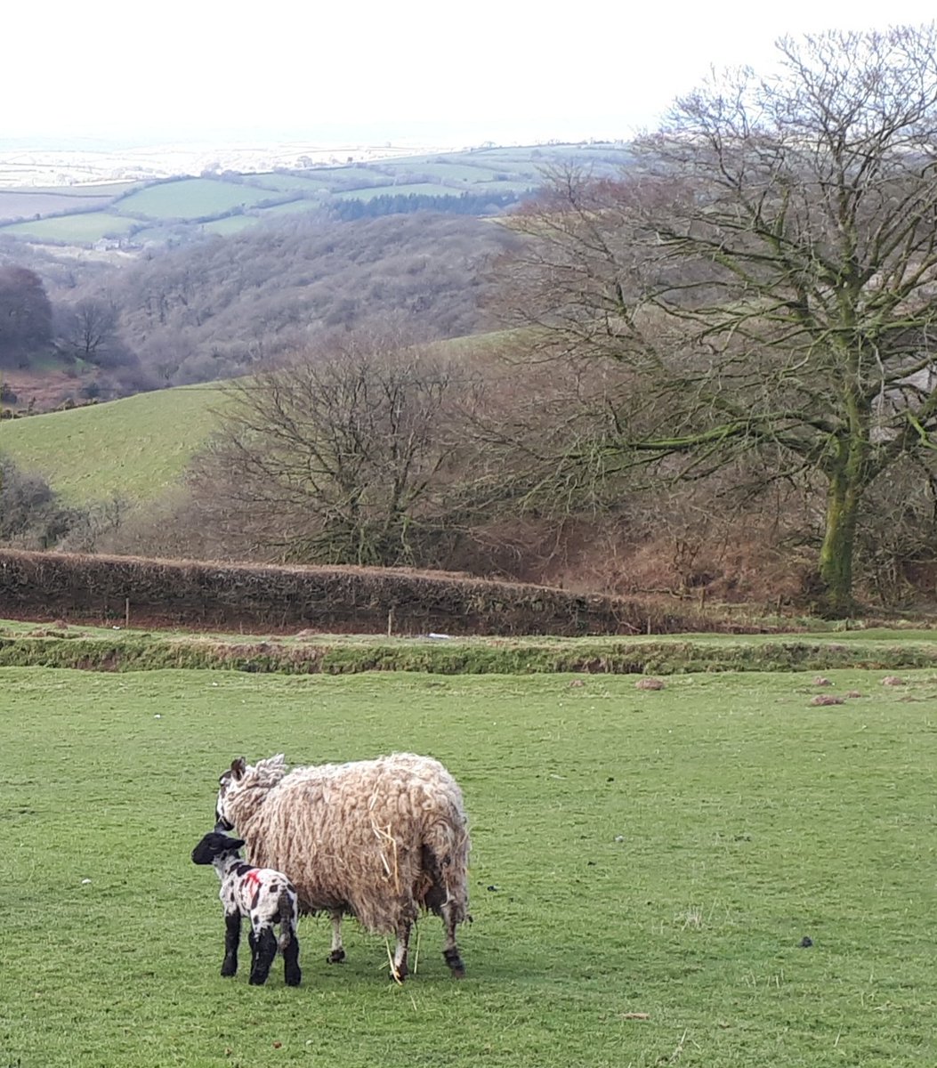 Blindwell Bunkhouse tweet media