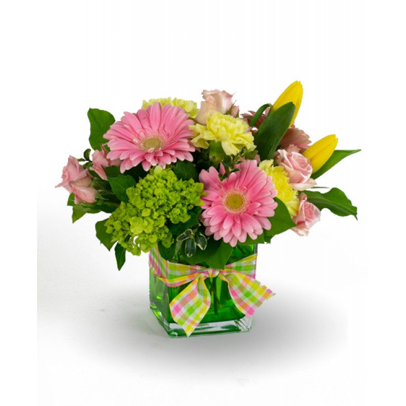 rockcastleflst's tweet image. Beautiful, cheerful Spring flowers. A wonderful gift to make any day happy! 
#sweetspring #springflowers #nocontactdelivery #rockcastle
ow.ly/piNa50z0POG