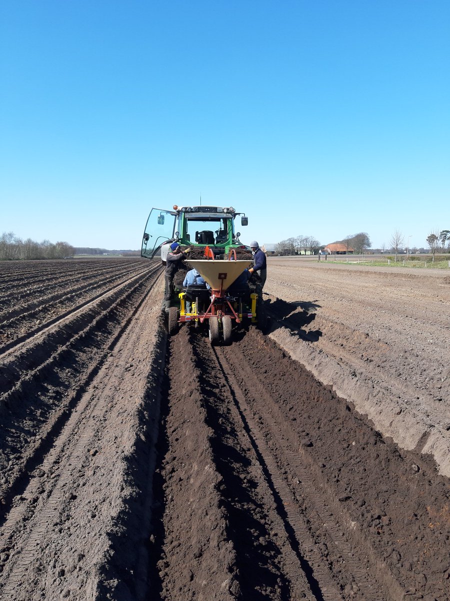 Rare tijd. Toch asperges aanplanten voor de toekomst.