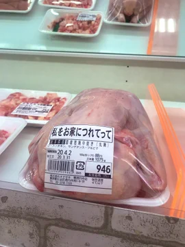 画像 / Picture