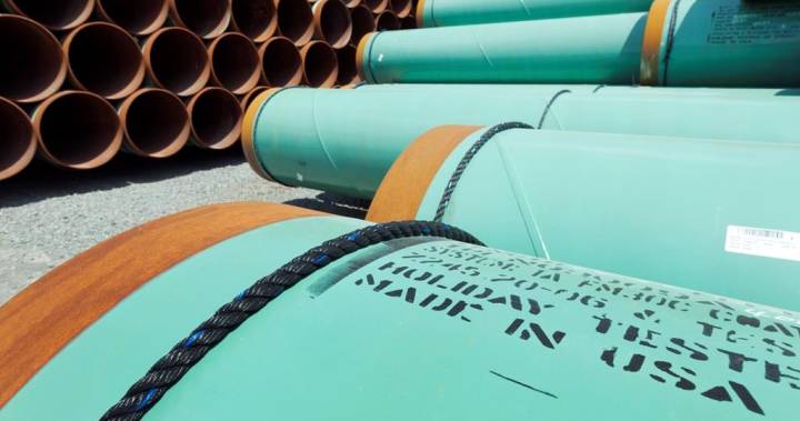 EUcB6hSUcAAmZ9p?format=jpg&name=900x900