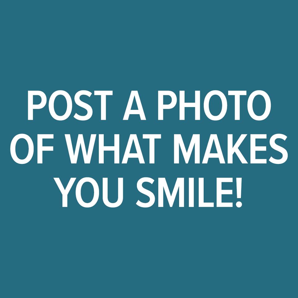 WCNC Charlotte tweet media