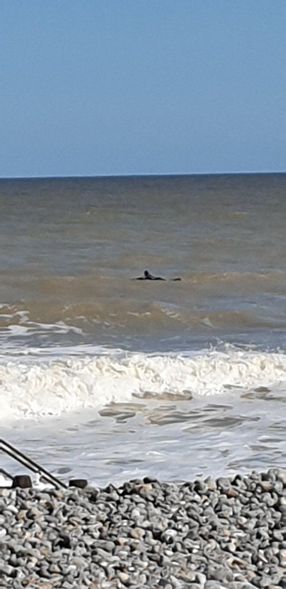 CromerMarnie's tweet photo. So lucky to have this on my doorstep #cromer #cromerbeach but gosh those steps were hard to climb https://t.co/eO14SzYkgB