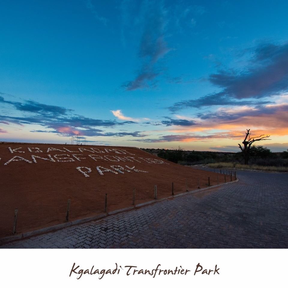 legend_safaris's tweet photo. Let us tell you a little about Kgalagadi Transfontier Park. Experience amazing sights during the day and magic in night sky.
#Kgalagadi #savannah #desertsafari #legend_safaris #legendsafaris #animalsights #africanskies #africa #leopard #lion #exploreafrica #safarivehicle https://t.co/WWxhFbrSEb
