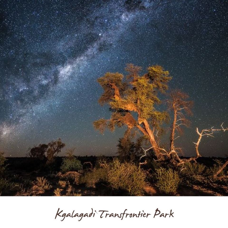 legend_safaris's tweet photo. Let us tell you a little about Kgalagadi Transfontier Park. Experience amazing sights during the day and magic in night sky.
#Kgalagadi #savannah #desertsafari #legend_safaris #legendsafaris #animalsights #africanskies #africa #leopard #lion #exploreafrica #safarivehicle https://t.co/WWxhFbrSEb