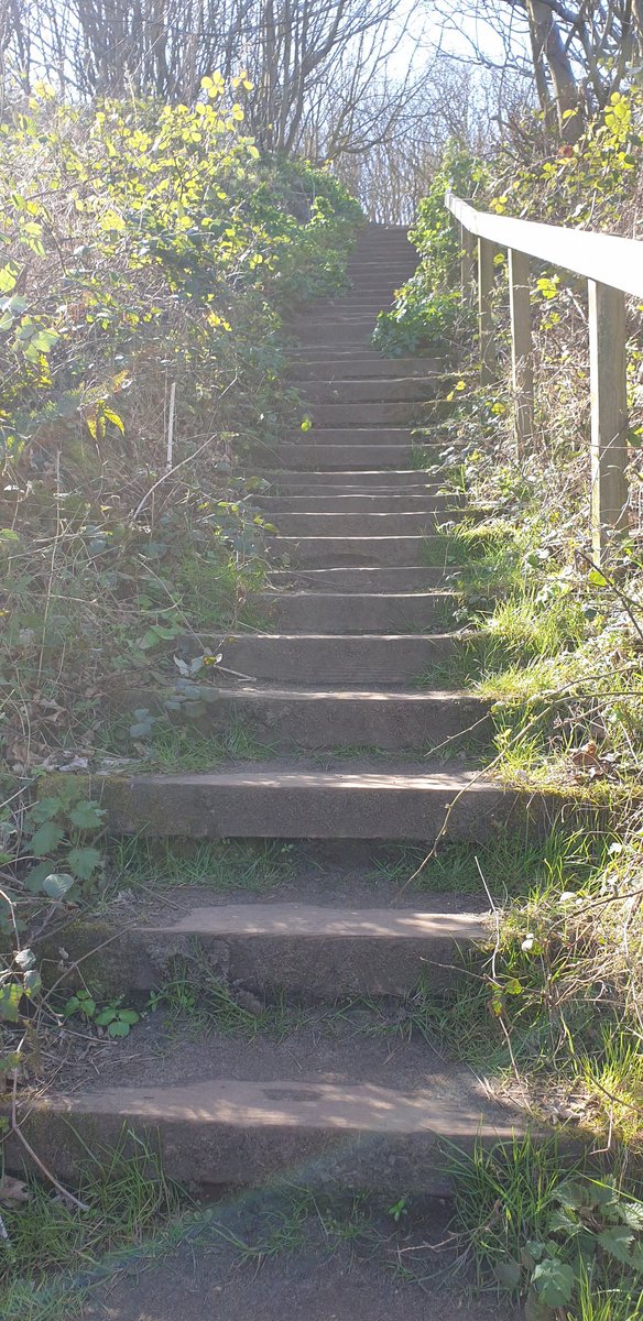 CromerMarnie's tweet photo. So lucky to have this on my doorstep #cromer #cromerbeach but gosh those steps were hard to climb https://t.co/eO14SzYkgB