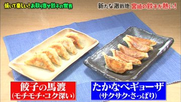 マツコの知らない世界で宮崎高鍋の餃子が紹介されました お取り寄せ餃子の世界 みやざきナビ