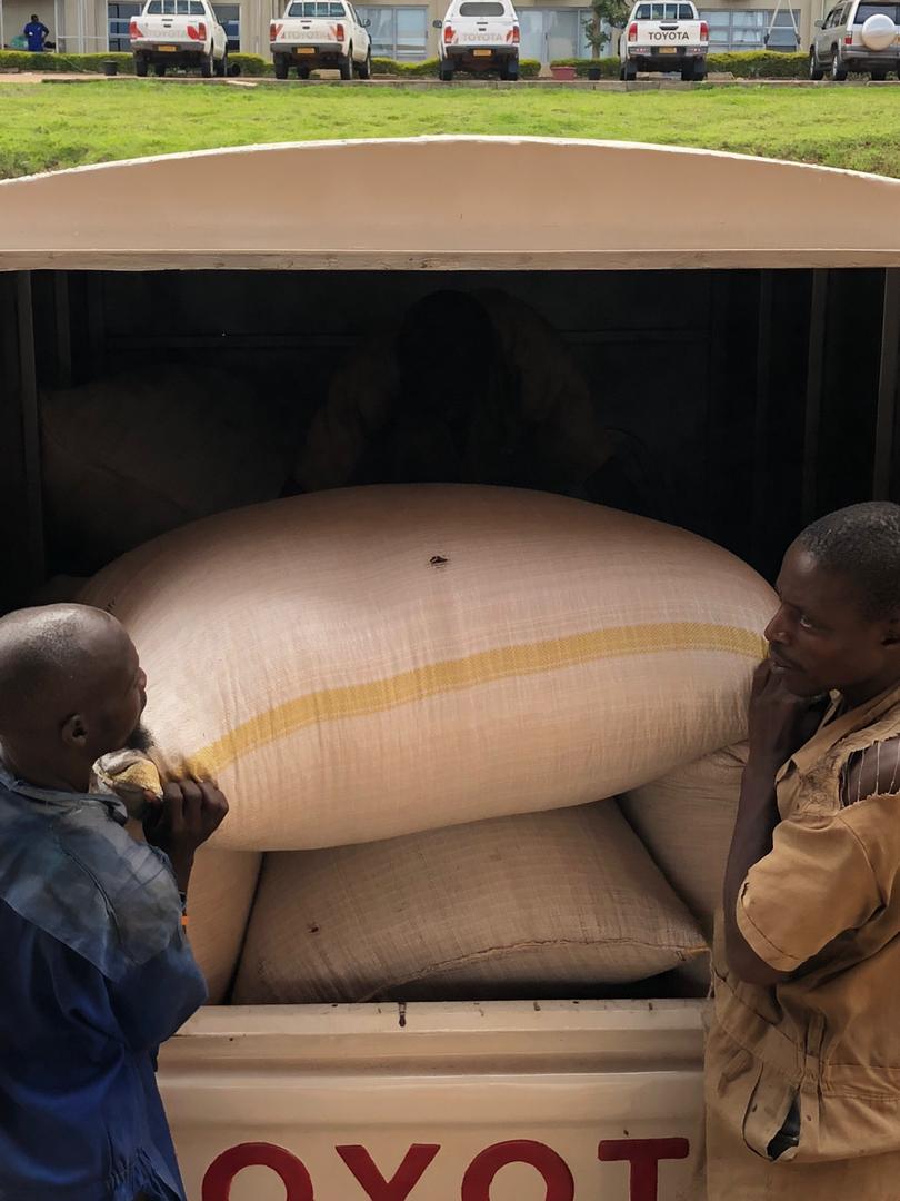 PSF_Rwanda's tweet photo. More blessings Murakoze cyane 

- Nine United company 5.5 tns of rice.
- Matare Ltd 1.5 tns Maize flour. 
- Depot pharmaceutique le medical 2tns of beans.
More pledges still coming in thank u all ..... No one should sleep hungry because of #Covid19 . https://t.co/k2J0lxMdWo