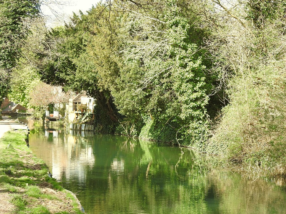 martingreenish4's tweet image. A few more snaps taken on our exercise walk along the Stroud Canal this morning. Turkeys ticked ✅ With @chelle36964384 #Stoud