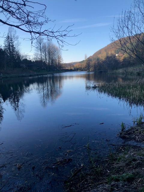 YPrentis's tweet photo. Our 4th tip of the week for looking after your mental health while isolating, is to get as much sunlight, nature and fresh air as you can! This will boost your mood, help you to relax and your health. Here's a snap from our assistant manager Dafydd's morning walk #IsolationTip https://t.co/aKe1vq1lkS