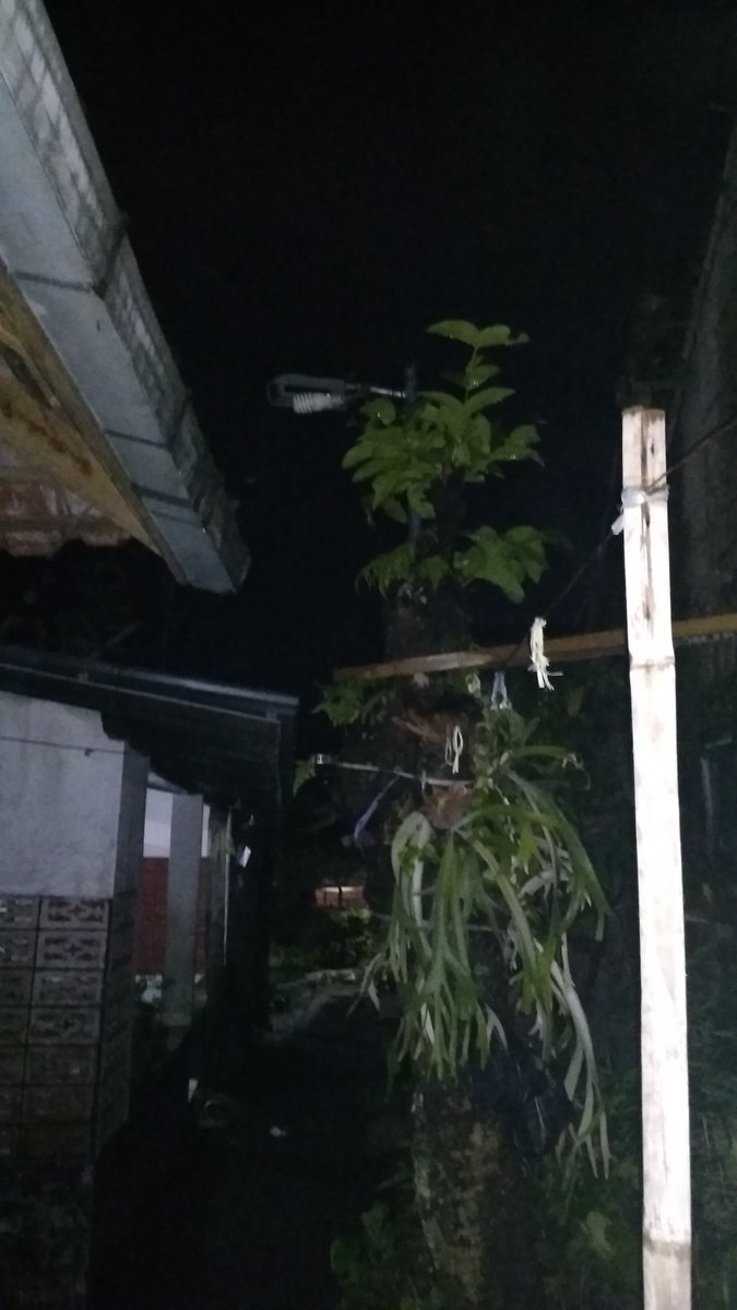 ruly_thea's tweet photo. @PJU_KotaBogor selamat malam mohon maaf..Di informasikan lampu penerangan jln di bantarjati lebak rt 04 rw08 mati lagi..mohon bantuannya. Terimakasih https://t.co/cmWeKRMg9g