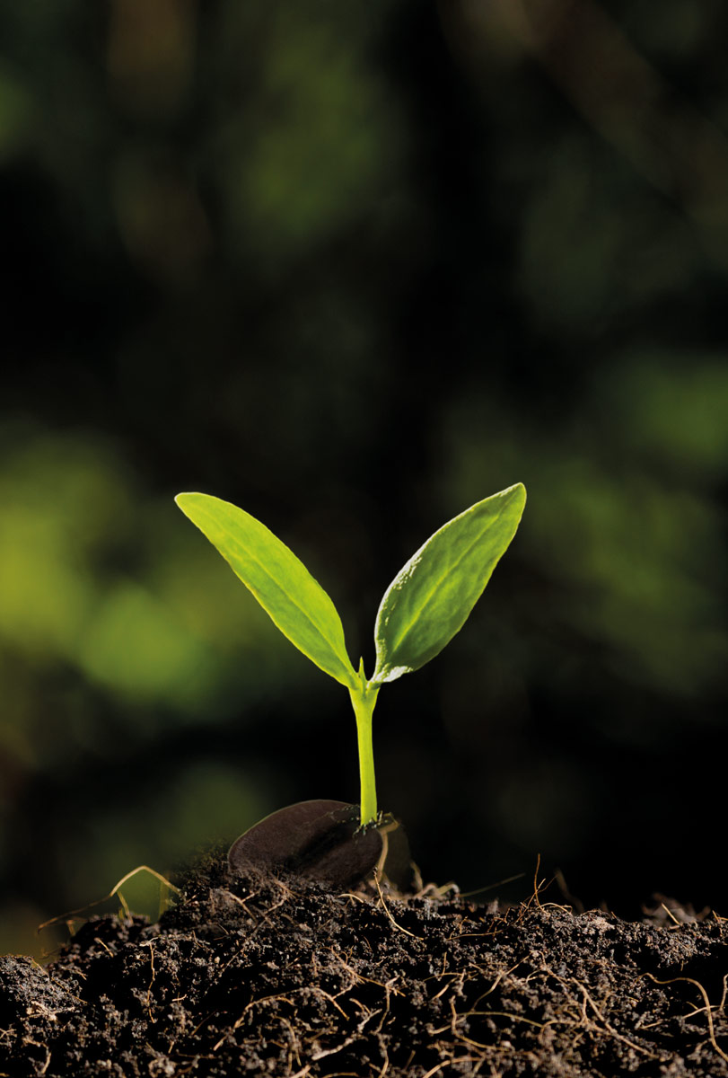 hsy_fi's tweet photo. Kevään kunniaksi HSY:n Metsäpirtin multaa alessa! 🌱 Tilaa mm. puhdistamolietteestä ja biojätteestä valmistettuja multatuotteitamme 7.4. mennessä: saat 25 % alen toukokuun loppuun mennessä osoitteeseesi toimitettavan mullan hinnasta.
➡️ https://t.co/yKq60xJycI #puutarha #multa https://t.co/lVUCx6onFO