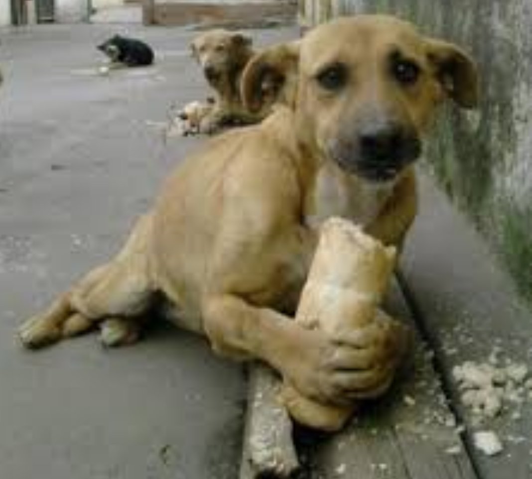 Size ruh halimi anlatamam ama resmini gösterebilirim...