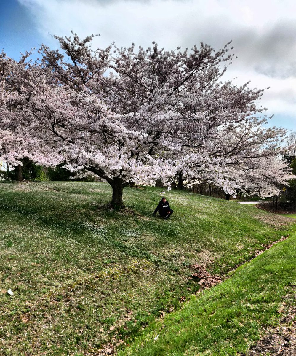 fatmifhs's tweet photo. My dad and I took a walk by some cherry blossom trees in full bloom this past weekend. What #sourcesofstrength are you relying on? #healthyactivities @fhseaglesnest @freedomsources @sourcesstrength https://t.co/rz0Ay8COhr