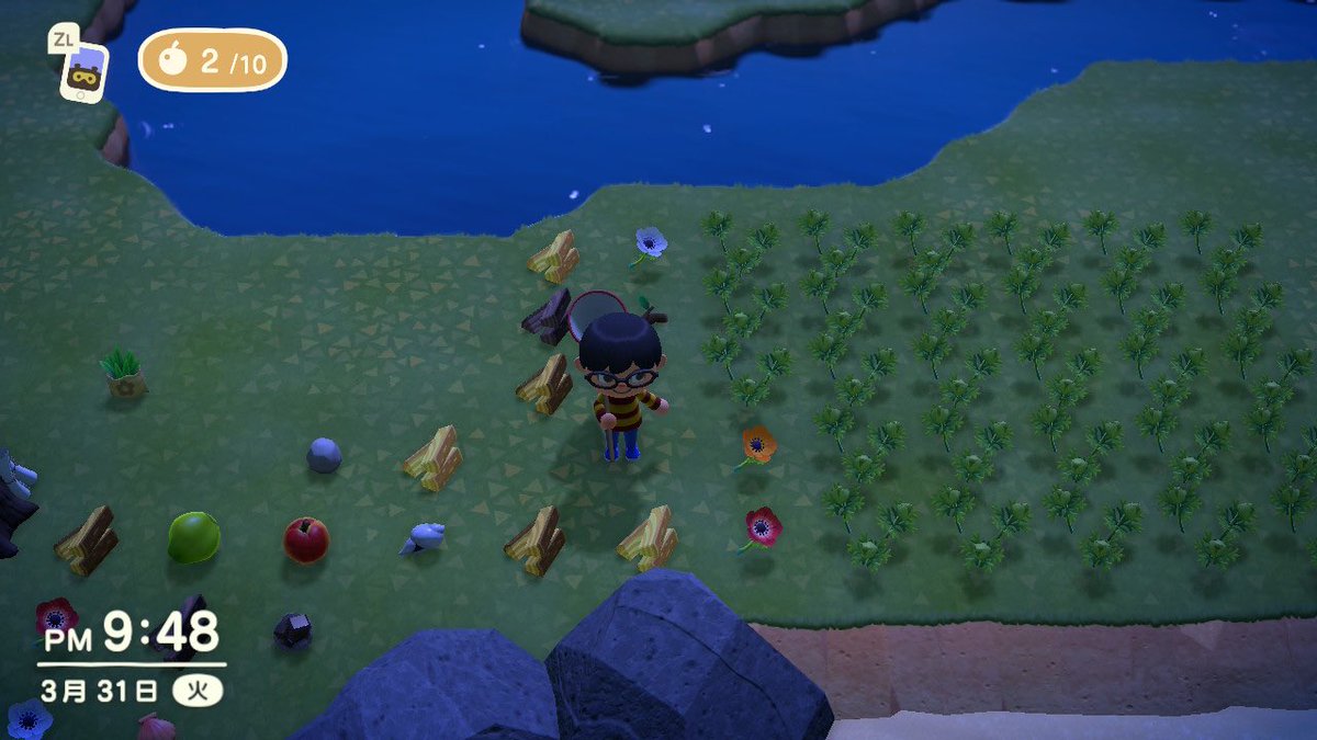 あつ 森 タランチュラ 島 特徴 あつ森 誰でも簡単 タランチュラの捕まえ方や1 5倍の値段で買い取ってもらう方法 金策 あつまれどうぶつの 森 Documents Openideo Com