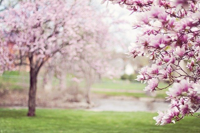 scholarships360's tweet photo. They say April showers bring May flowers, but we say April scholarships bring students more money! Check out this list of scholarships expiring in April!
https://t.co/ZucvjFuuum https://t.co/7Um5gHrGSu