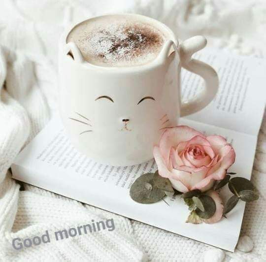 실패 좀 하면 어때요
경험했다 생각하면 돼죠

이별 좀 하면 어때요
좋은사람 만난다 생각하면 돼죠

손해 좀 보면 어때요
베풀었다 생각하면 돼죠

안되면 좀 어때요
잘 될때도 있다 생각하면 돼죠

삶이 좀 힘들면 어때요
좋은날도 온다 생각하면 돼죠

생각을 조금만 바꿔보세요
삶이 즐거워집니다