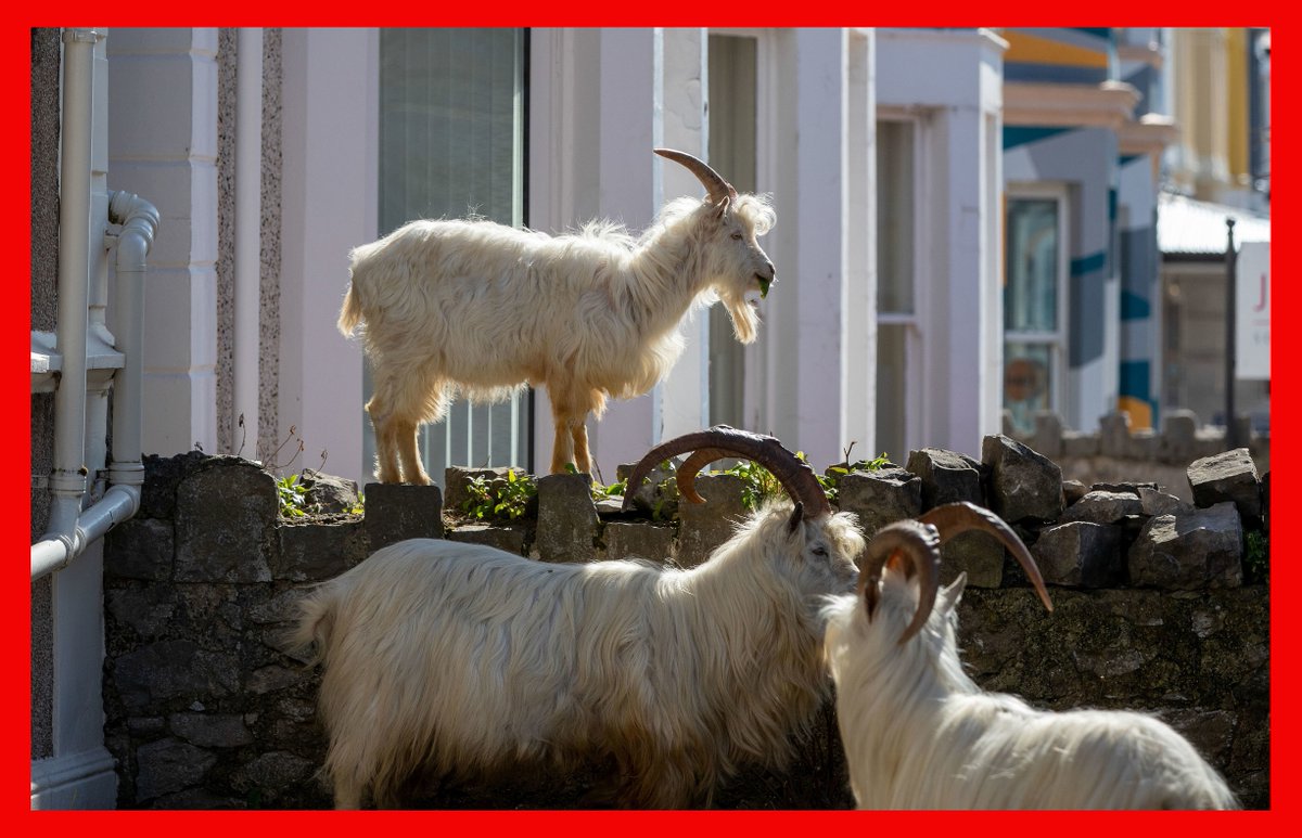 Hits Radio News | Liverpool & North West tweet media